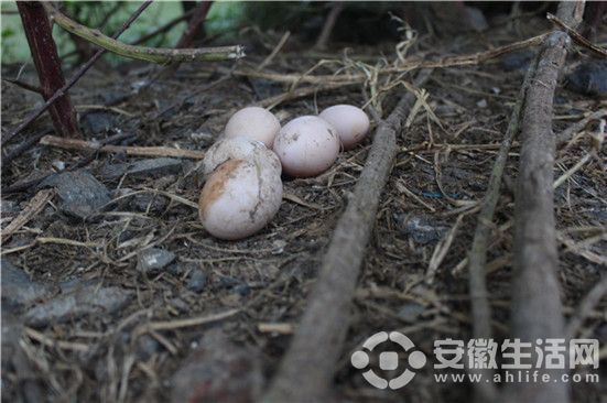 微信圖片_20171024160524.jpg
