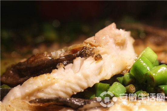 探魚 (2).jpg