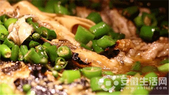 探魚 (1).jpg