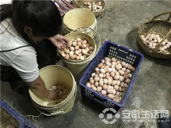 微信圖片_20171024160702.jpg