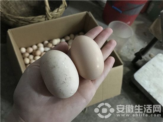 微信圖片_20171024160659.jpg