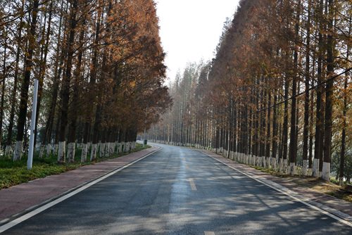 賽道.jpg