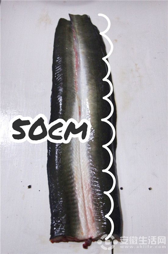 QQDƬ20180315125613.jpg