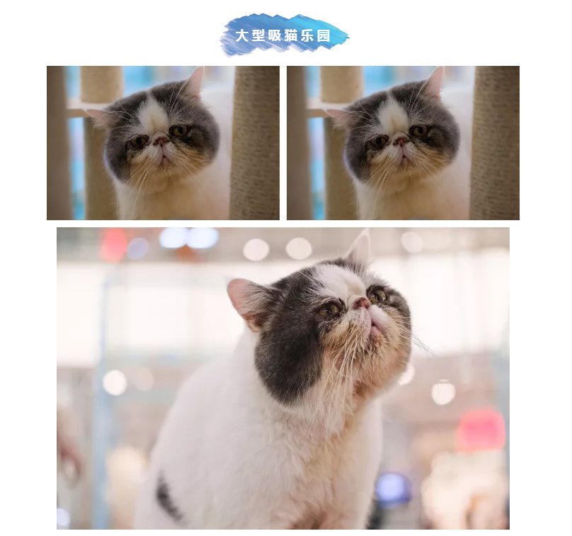 ΢Ž؈D_20180413174726.png