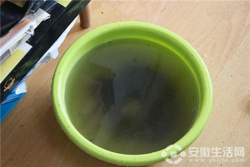 圖片3.jpg