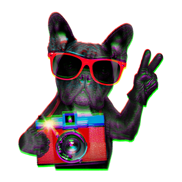 ӈD 7.gif